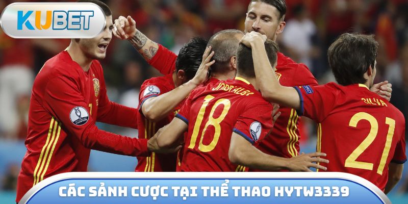 Các sảnh cược tại thể thao hytw3339