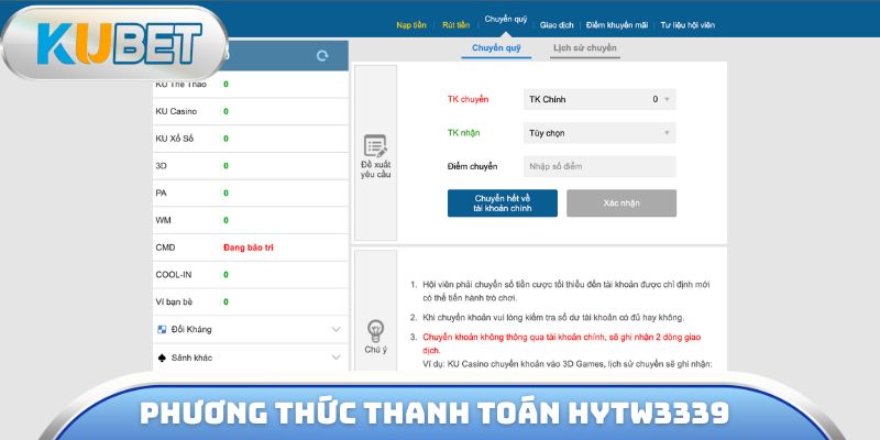 Phương thức thanh toán Hytw3339